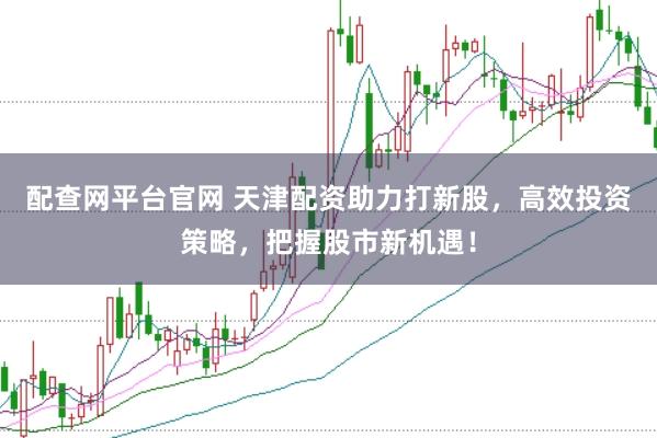 配查网平台官网 天津配资助力打新股，高效投资策略，把握股市新机遇！